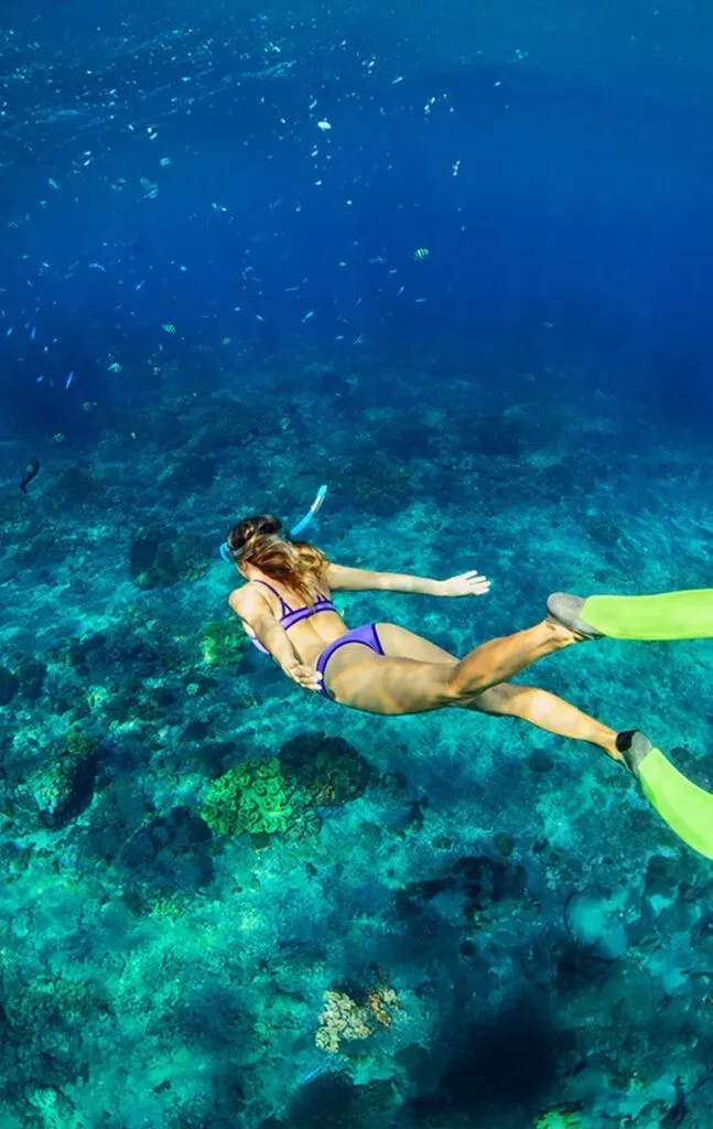 Great Basses Snorkeling
