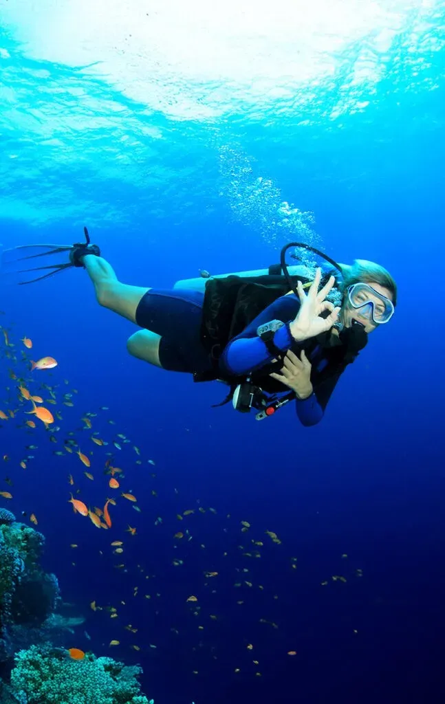 Certified Diving Package