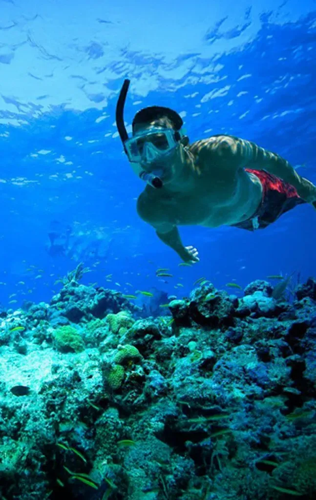 Snorkeling Escape